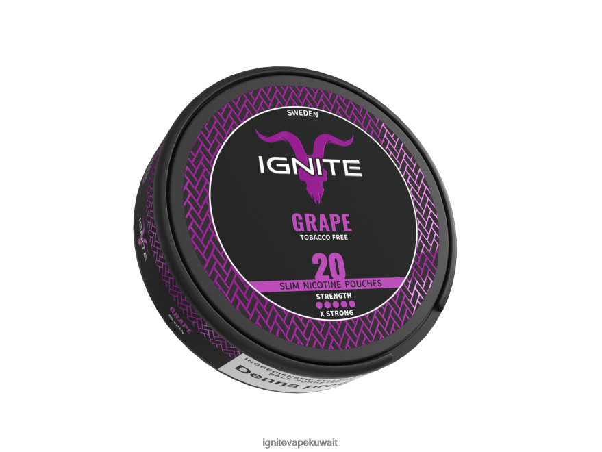 684H28174 IGNITE أكياس النيكوتين عنب - Ignite Vape Price